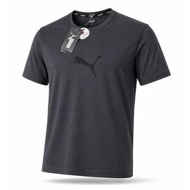 Футболка чоловіча 14178 d.grey р.S-2XL "Alex Clothes" недорого оптом від прямого постачальника