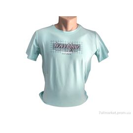 Футболка чоловіча Літо C006 мятний (4 шт. р.сіткаM-2XL) "TurkishBrend" недорого оптом від прямого постачальника