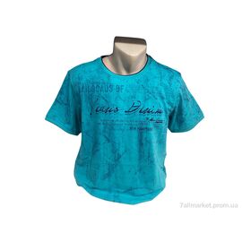 Футболка чоловіча Літо 9845 бірюза (4 шт. р.сіткаL-3XL) "TurkishBrend" недорого оптом від прямого постачальника