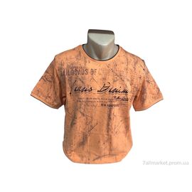Футболка чоловіча Літо 9845 помаранчевий (4 шт. р.сіткаL-3XL) "TurkishBrend" недорого оптом від прямого постачальника