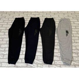 Штани спортивні чоловічі E1179 navy р.50-58 "Essa" недорого оптом від прямого постачальника