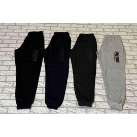 Штани спортивні чоловічі E1187 d.grey р.50-58 "Essa" недорого оптом від прямого постачальника