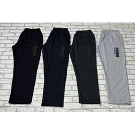 Штани спортивні чоловічі E1196 l.grey р.50-58 "Essa" недорого оптом від прямого постачальника