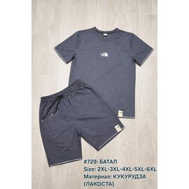 Костюм чоловічий 729 grey р.2XL-6XL "Essa" недорого оптом від прямого постачальника