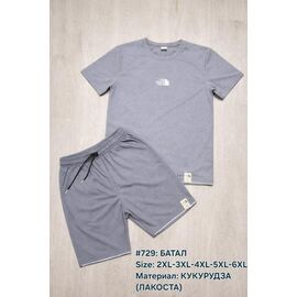 Костюм чоловічий 729 l.grey р.2XL-6XL "Essa" недорого оптом від прямого постачальника