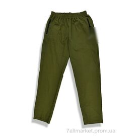 Спортивні штани чоловічі Весна/осінь 007-6 green (5 шт. р.сітка48-56) "Денис спорт" недорого оптом від прямого постачальника