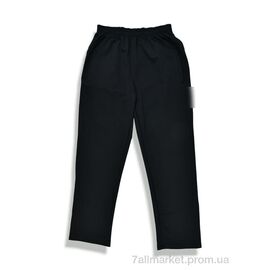 Спортивні штани чоловічі Весна/осінь 009-1 black (5 шт. р.сітка56-64) "Денис спорт" недорого оптом від прямого постачальника