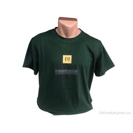 Футболка чоловіча Літо C008-Б зелений (4 шт. р.сітка3XL-6XL) "TurkishBrend" недорого оптом від прямого постачальника