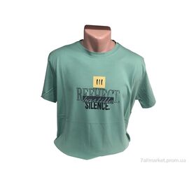 Футболка чоловіча Літо C008-Б м'ятний (4 шт. р.сітка3XL-6XL) "TurkishBrend" недорого оптом від прямого постачальника