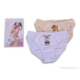 Фотография Трусы Весна/осень QG1669 mix (8 шт. р.сетка M-2XL) "Textile" недорого оптом от прямого поставщика