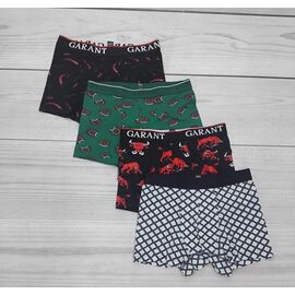 Труси чоловічі 310 white р.48-56 "Imlion" недорого оптом від прямого постачальника