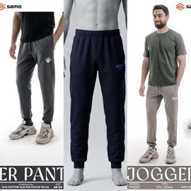 Штани спортивні чоловічі 8287 l.grey р.48-56 "Imlion" недорого оптом від прямого постачальника