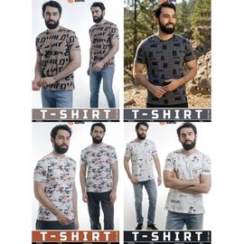 Футболка чоловіча 8845 white-grey р.48-56 "Imlion" недорого оптом від прямого постачальника