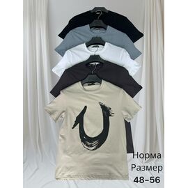 Футболка чоловіча H1406 d.grey р.48-56 "Hai" недорого оптом від прямого постачальника