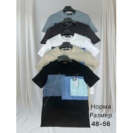 Футболка чоловіча H1411 beige р.48-56 "Hai" недорого оптом від прямого постачальника