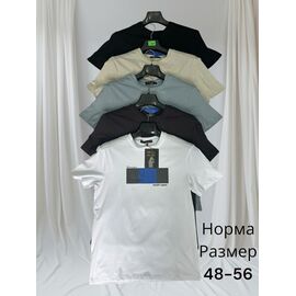 Футболка чоловіча H1423 beige р.48-56 "Hai" недорого оптом від прямого постачальника