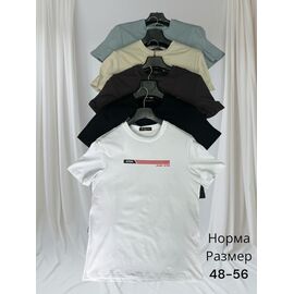 Футболка чоловіча H1433 beige р.48-56 "Hai" недорого оптом від прямого постачальника