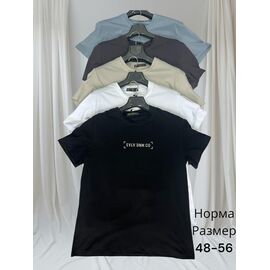 Футболка чоловіча H1436 white р.48-56 "Hai" недорого оптом від прямого постачальника