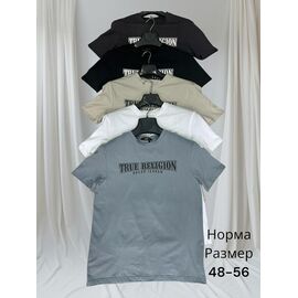 Футболка чоловіча H1442 beige р.48-56 "Hai" недорого оптом від прямого постачальника