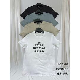 Футболка чоловіча H1447 grey р.48-56 "Hai" недорого оптом від прямого постачальника