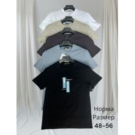 Футболка чоловіча H1451 d.grey р.48-56 "Hai" недорого оптом від прямого постачальника