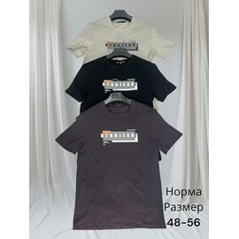 Футболка чоловіча H1456 beige р.48-56 "Hai" недорого оптом від прямого постачальника