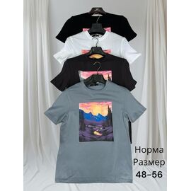 Футболка чоловіча H1460 black р.48-56 "Hai" недорого оптом від прямого постачальника