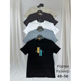 Футболка чоловіча H1463 white р.48-56 "Hai" недорого оптом від прямого постачальника