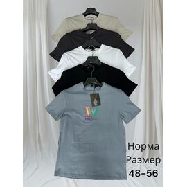 Футболка чоловіча H1470 beige р.48-56 "Hai" недорого оптом від прямого постачальника