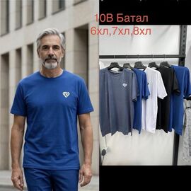 Футболка чоловіча 10B mix р.6XL-8XL "Lina" недорого оптом від прямого постачальника
