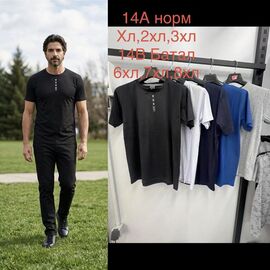 Футболка чоловіча 14B mix р.6XL-8XL "Lina" недорого оптом від прямого постачальника