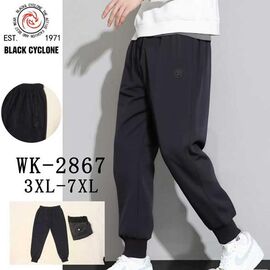 Штани спортивні чоловічі 2867 navy р.3XL-7XL "ZERO" недорого оптом від прямого постачальника