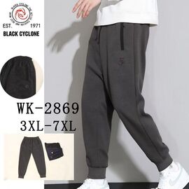 Штани спортивні чоловічі WK2869 black р.3XL-7XL "ZERO" недорого оптом від прямого постачальника