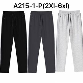 Штани спортивні чоловічі A215-1P l.grey р.2XL-6XL "Ale-Ate" недорого оптом від прямого постачальника