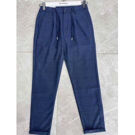 Штани чоловічі утеплені 490 blue р.29-36 "Bromley" недорого оптом від прямого постачальника