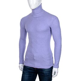 Гольф чоловічий M001-19 purple р.44-54 "4 Seasons" недорого оптом від прямого постачальника