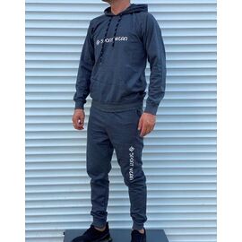 Фотография Костюм спортивный мужской A01-44 grey р.S-2XL "4 Seasons" недорого оптом от прямого поставщика