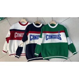 Светр жіночий 6617 white р.one size "Aidin-шик шок" недорого оптом від прямого постачальника