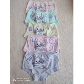 Фотография Трусы детские на девочку 4671FM mix р.8-9 "Disneyopt kids" недорого оптом от прямого поставщика