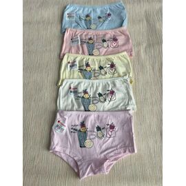 Фотография Трусы детские на девочку 4551B6 mix р.6-7 "Disneyopt kids" недорого оптом от прямого поставщика