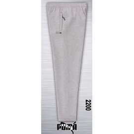 Фотография Штаны спортивные мужские утеплённые AZ111-2200 l.grey р.M-3XL "AZT" недорого оптом от прямого поставщика