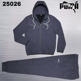 Фотография Костюм спортивный мужской AZ284-25026 grey р.M-3XL "AZT" недорого оптом от прямого поставщика