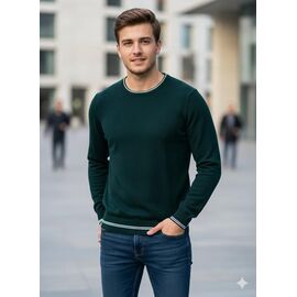 Светр чоловічий 6173 green р.M-2XL "Moranny" недорого оптом від прямого постачальника