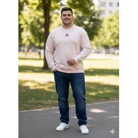 Светр чоловічий MR455 beige р.2XL-6XL "Moranny" недорого оптом від прямого постачальника