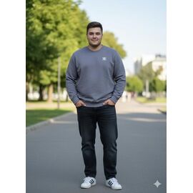 Светр чоловічий MR456 grey р.2XL-6XL "Moranny" недорого оптом від прямого постачальника