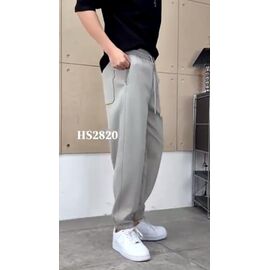 Штани спортивні чоловічі HS2820 grey р.31-36 "F.T.H" недорого оптом від прямого постачальника