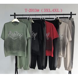 Костюм спортивний жіночий T2013 mix р.3XL-4XL "Saint Wish" недорого оптом від прямого постачальника