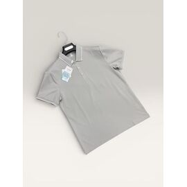 Футболка чоловіча F825 grey р.L-4XL "F.T.H" недорого оптом від прямого постачальника