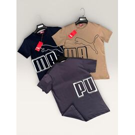 Футболка чоловіча F922 d.grey р.S-2XL "F.T.H" недорого оптом від прямого постачальника