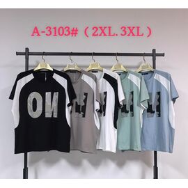 футболка жіноча A3103 mix р.2XL-3XL "Saint Wish" недорого оптом від прямого постачальника